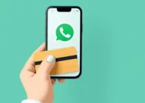 pagar com cartão de crédito pelo WhatsApp