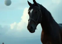 Dark Horse